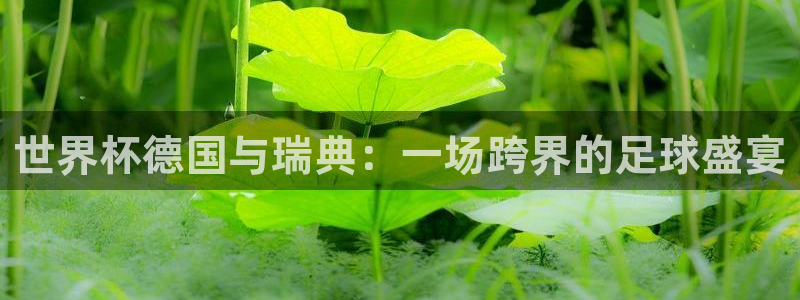 世界杯:世界杯德国与瑞典:一场跨界的足球盛宴