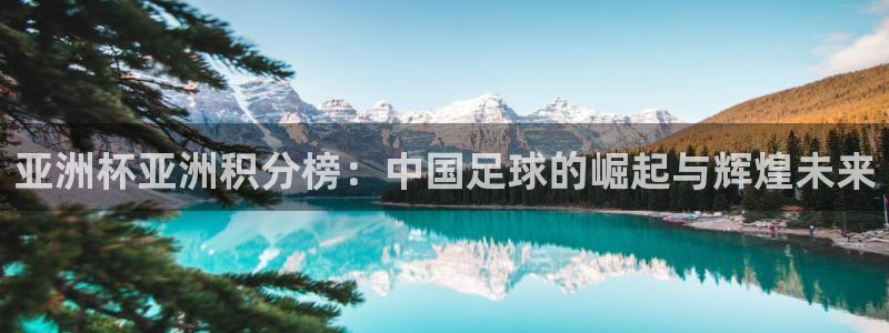 2026世界杯直播免费观看:亚洲杯亚洲积分榜:中国足球的崛起与辉煌未来