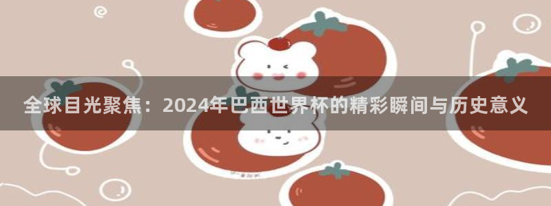世界杯视频:全球目光聚焦:2024年巴西世界杯的精彩瞬间与历史意义