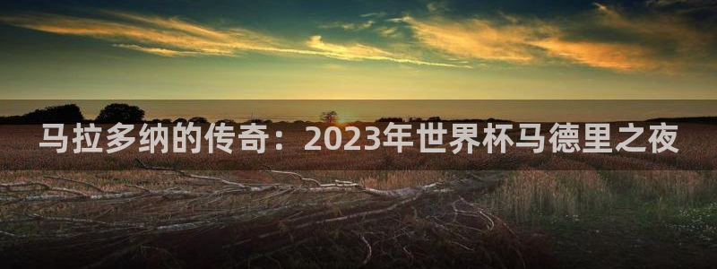 今天所有足球赛程表:马拉多纳的传奇:2023年世界杯马德里之夜