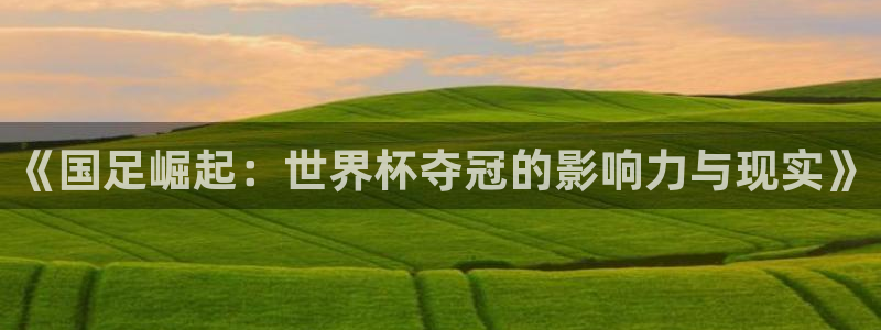 世界杯在线直播:《国足崛起:世界杯夺冠的影响力与现实》
