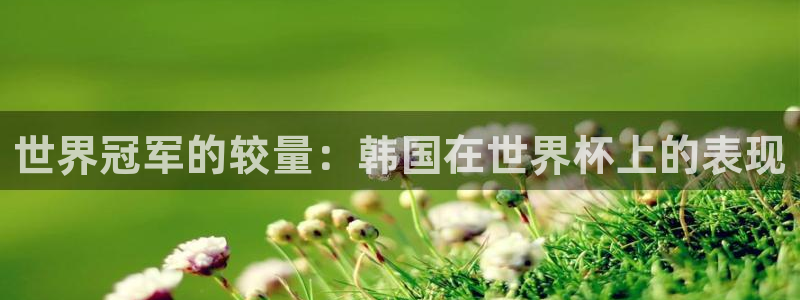 世界杯欧洲预选赛:世界冠军的较量:韩国在世界杯上的表现