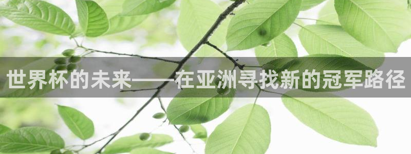 欧联杯直播:世界杯的未来——在亚洲寻找新的冠军路径