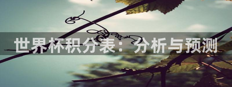 2026世界杯南美区积分榜:世界杯积分表:分析与预测