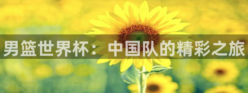 世界杯赛程2026:男篮世界杯:中国队的精彩之旅